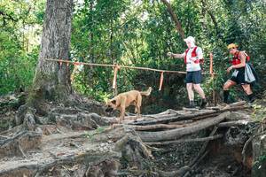 BIB: 
                            <button type="button" onclick="openModal(27742857)" class="btn btn-primary btn-sm float-right btn-popup" data-toggle="modal" data-target=".modal-high-quality">
                        <i class="fas fa-shopping-cart"></i> Add to Cart
                    </button>
                                            <button type="button" onclick="isThisMe(27742857, true)" class="btn btn-success btn-sm float-right btn-popup btn-isme hidden" data-toggle="tooltip" data-placement="bottom" title="นี่คือรูปของคุณใช่ไหม คลิกที่นี่เพื่อเอาเข้าอัลบั้ม">
                        <i class="fas fa-plus"></i> Add to album
                    </button>
                    <button type="button" onclick="isThisMe(27742857, false)" class="btn btn-warning btn-sm float-right btn-popup btn-isnotme hidden">
                        <i class="fas fa-ban"></i> Remove from album
                    </button>